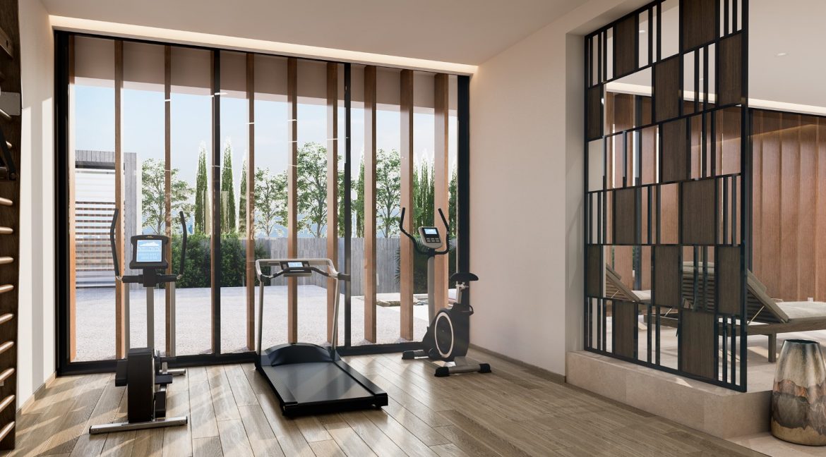 ex-19-163-andreas stylianou-gym-jacuzzi-04