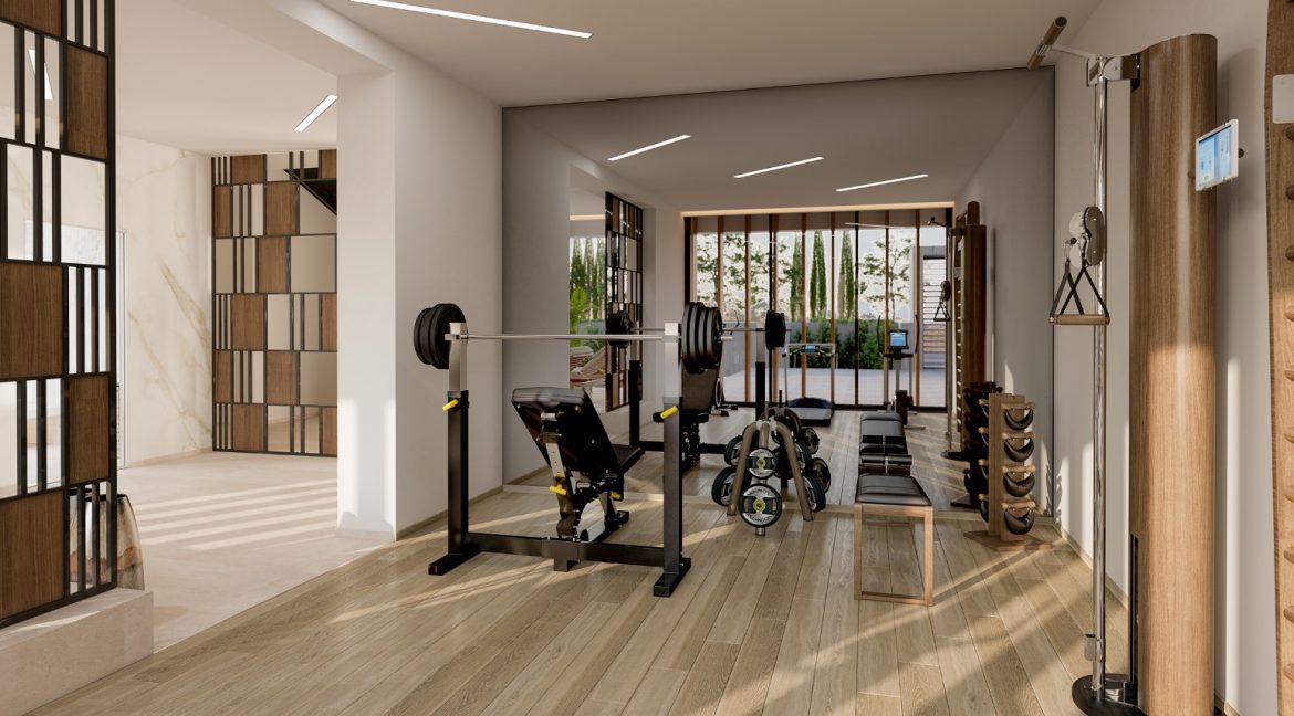 ex-19-163-andreas stylianou-gym-jacuzzi-05