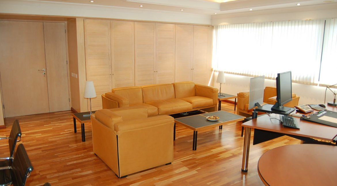 ECONOMOU OFFICES 013
