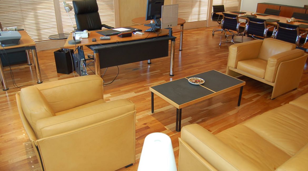 ECONOMOU OFFICES 028