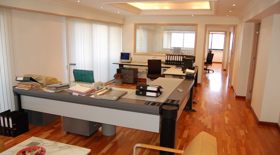 ECONOMOU OFFICES 049