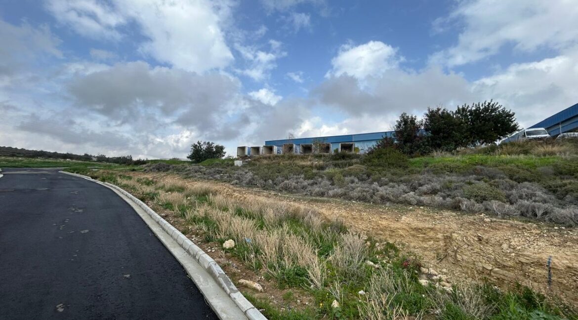 WhatsApp Image 2026-02-09 at 11.29.48 AM